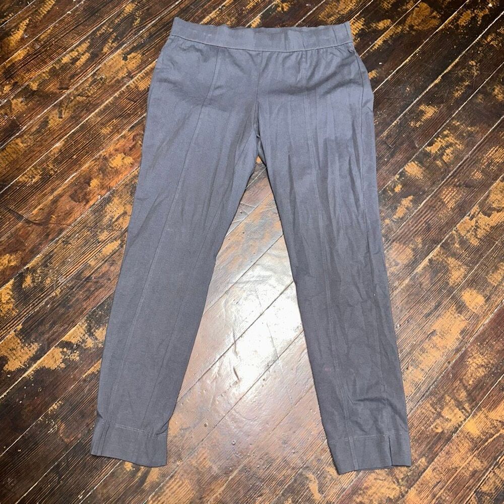 Eileen Fisher travelcore M gray minimalist stretchy ankle pants
